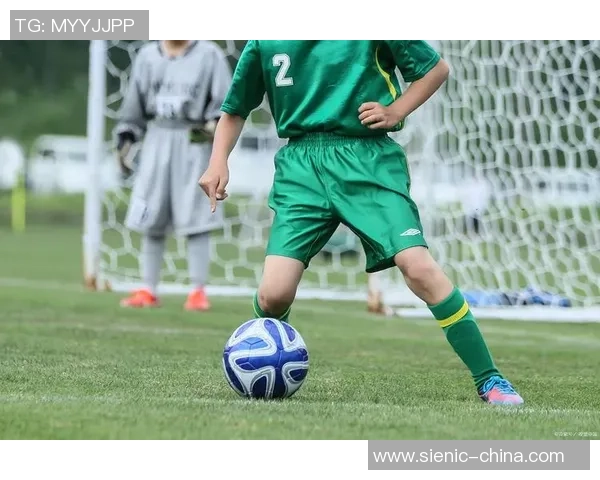 所以引领绿茵风暴现役足球巨星传奇与未来发展解析