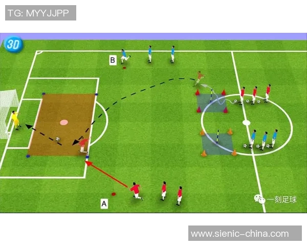 如何系统培养足球球星从青训到职业生涯的全方位发展路径解析