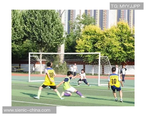 绿茵豪杰同场竞技群星闪耀谱写激情足球画卷